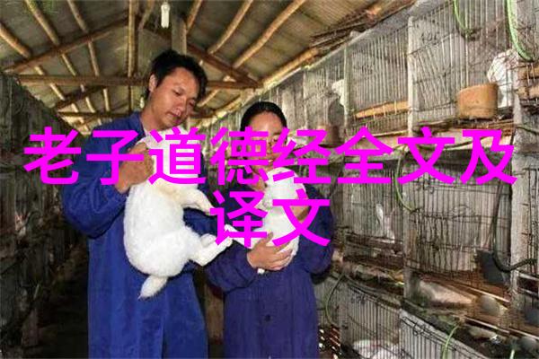 道教-道教第一人老子与其哲学的光芒