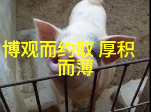 宗教人物-道教有名的人历代修行者与圣贤的足迹