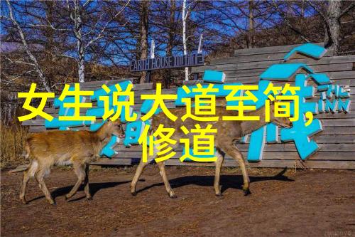 非同凡响的爱我和她的故事一段让人回味的爱情篇章