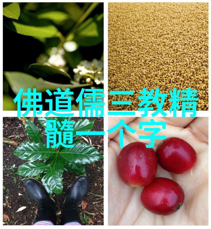 心灵归宿揭秘修道分为几种境界