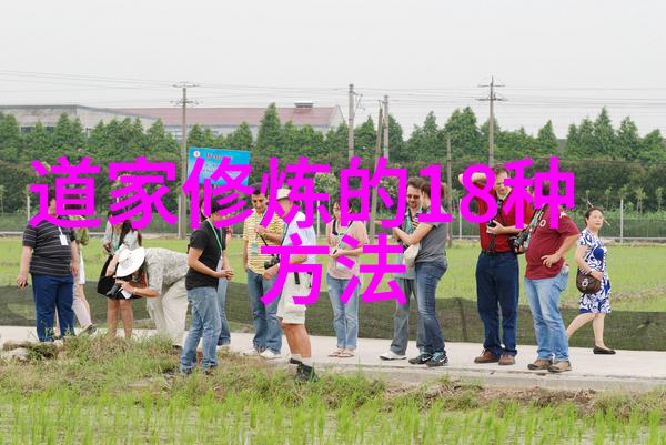 无为不成我是如何从一位坐等凤凰涅槃的人变成行动派的