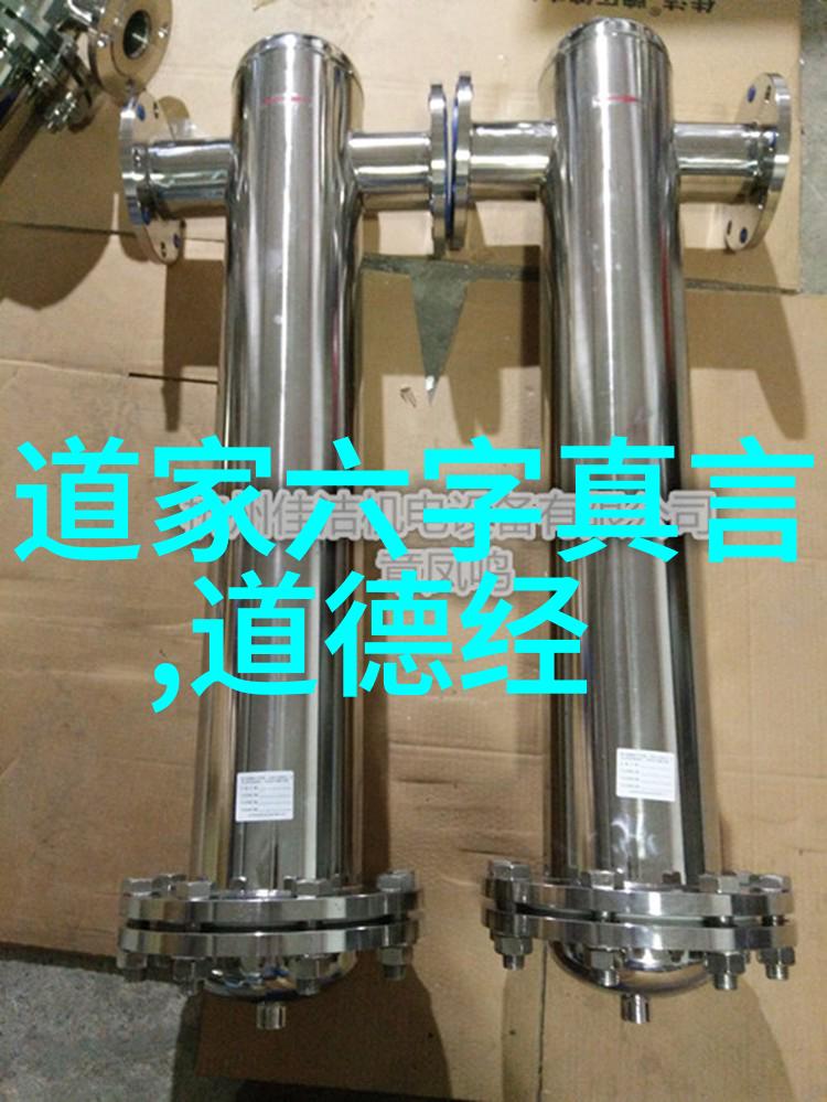 世态炎凉中的真诚与坚持记忆与思考中國 近现代 道家的精神面貌