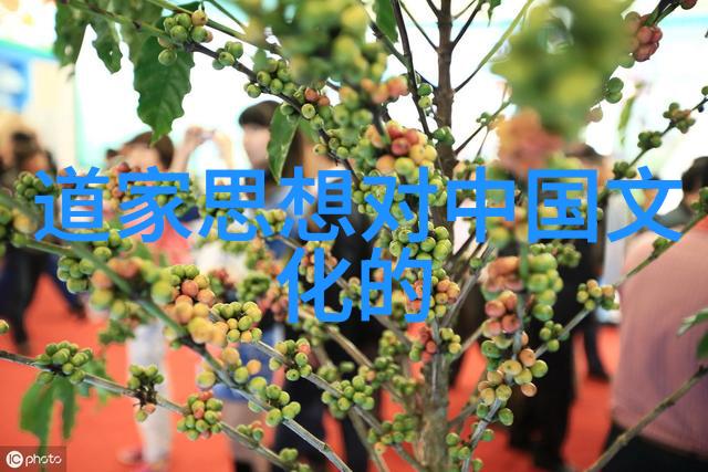 撑起伽罗的腿疯狂输出的视频网站-乱世英雄伽罗腿技之争