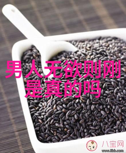 历史上的道家名人 - 道教大师与哲学家的足迹