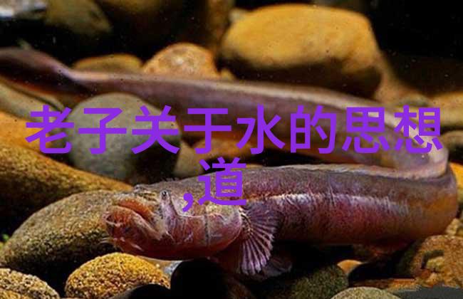 解读南华经道家哲学的深远含义