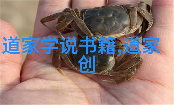 道家思想在春秋战国时期对中国哲学有何影响