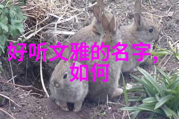 如何通过学习和理解古代文人的创作理念来提升自己的审美能力呢