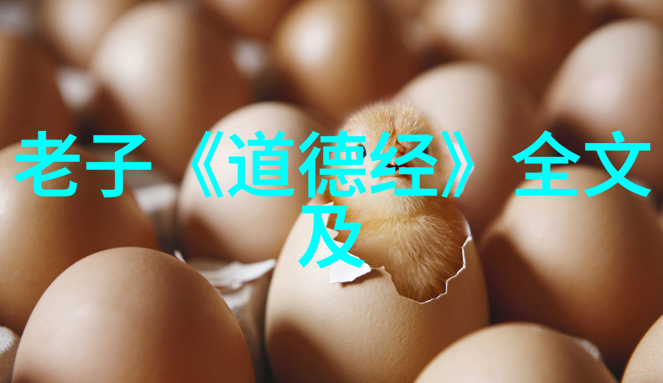 道术修炼一步步成为一名真正的道士