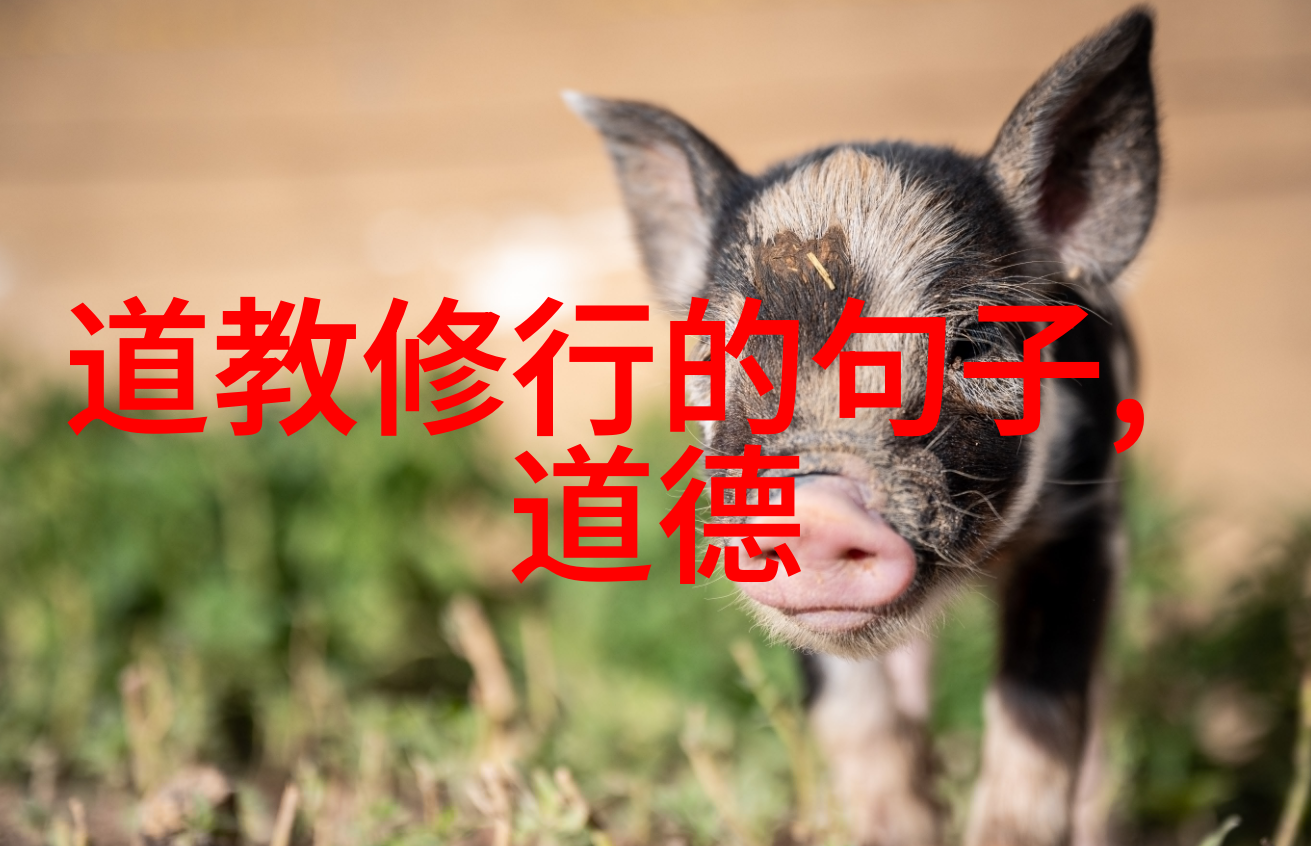一日成仙探秘开天眼口诀神奇学习法