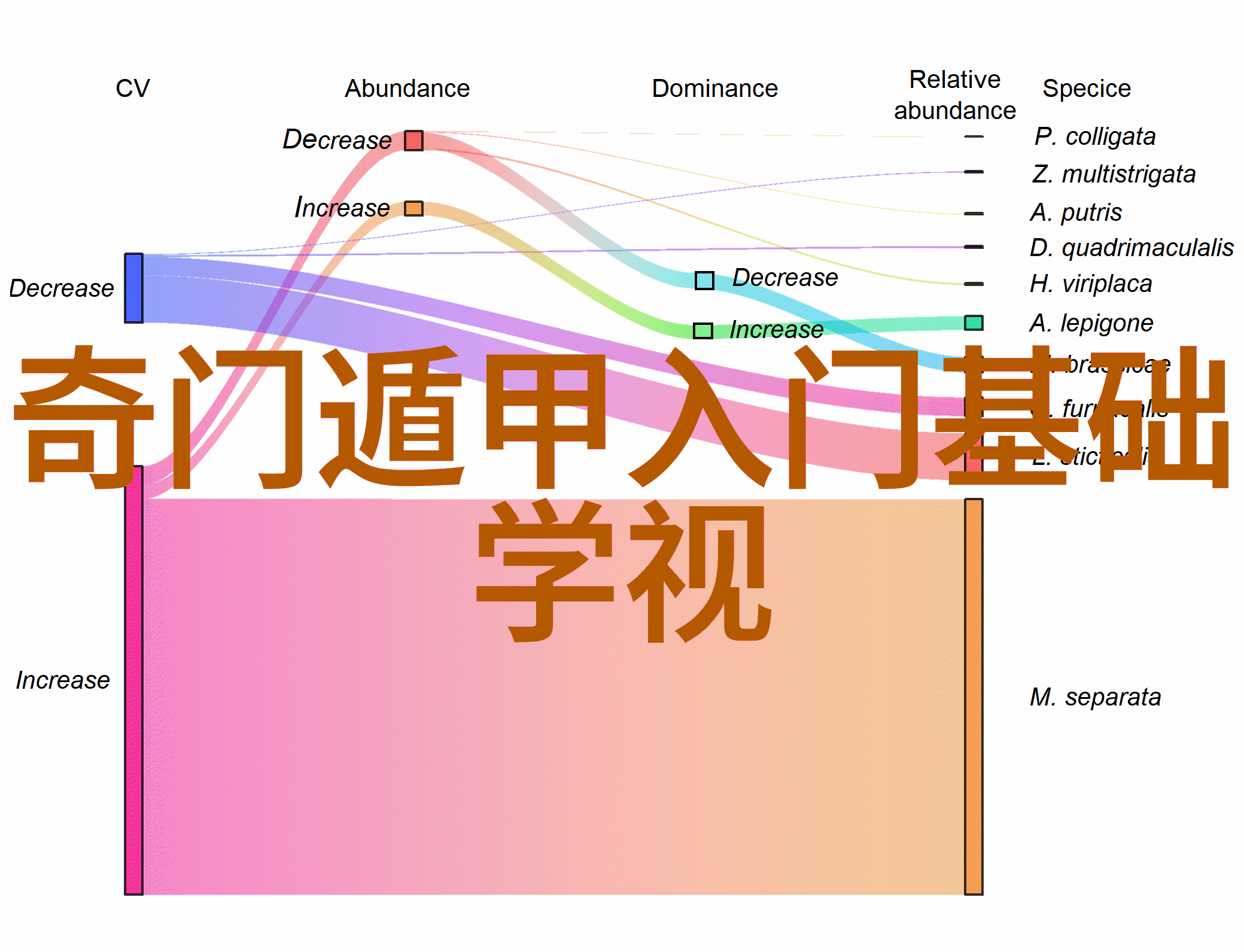 道家经典从混沌到大笑