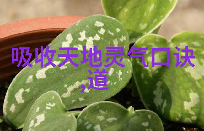 历史人物背后的秘密他们的生活真的像我们所说的那样吗