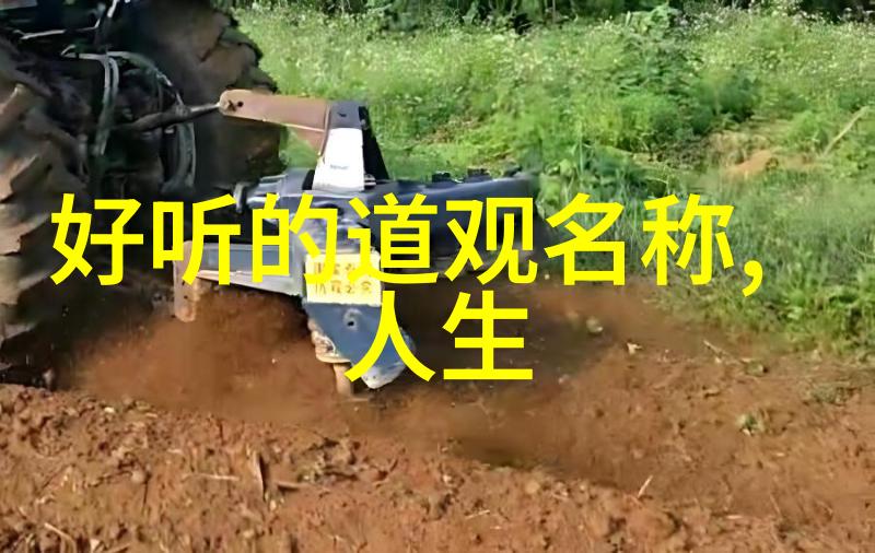 道家心经全文解读揭秘古代智慧的源泉