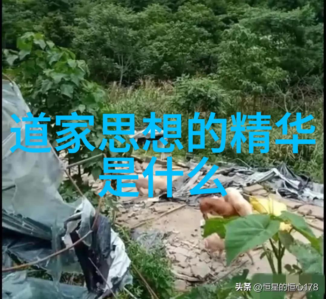 橘梨纱的秘密