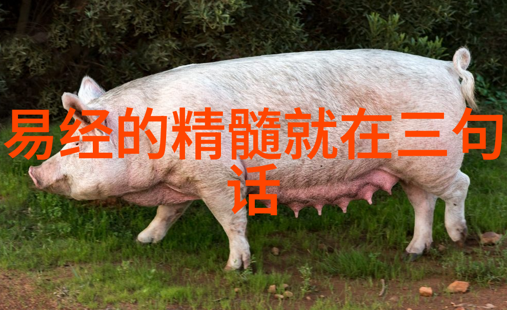 修道入门心法探究精神净化与内在修炼的哲学基础