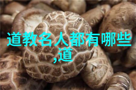 铁壁之心