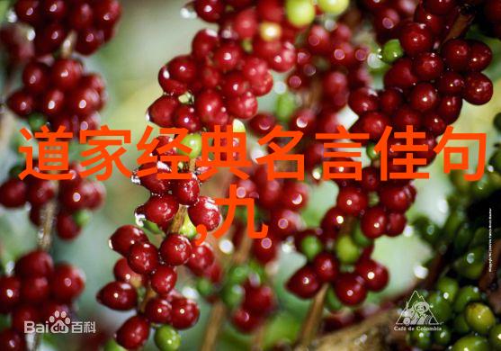 书法之美墨香中绘龙fly