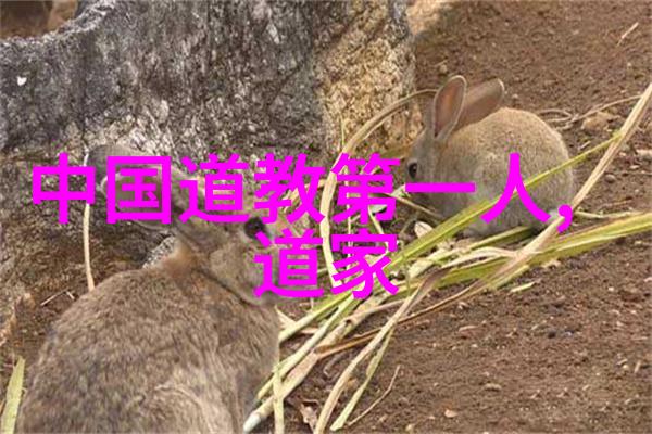 大道至简的内涵和意义我是如何在复杂生活中寻找那条简单之路
