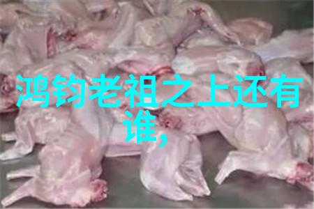 超凡脱俗之旅追踪那位以修行为生的文学巨星与道教故事