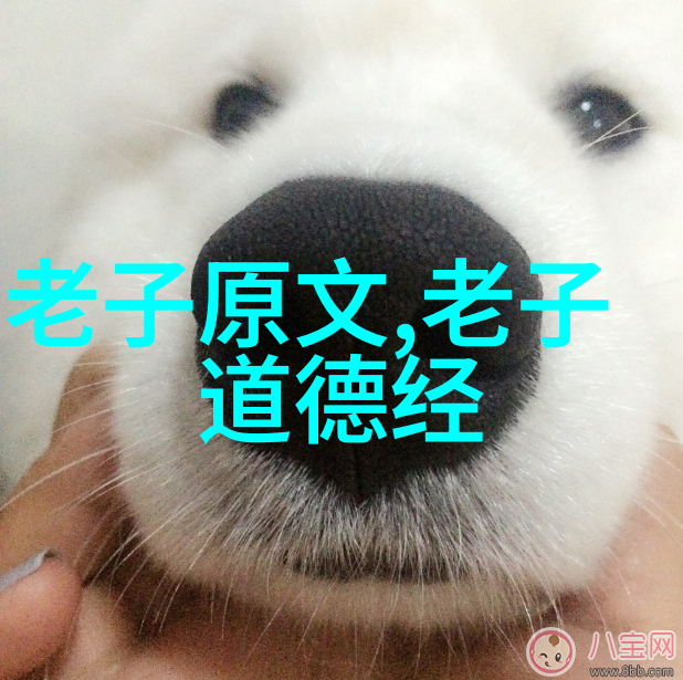 适应变化的艺术通过老子道德经看待现代生活挑战