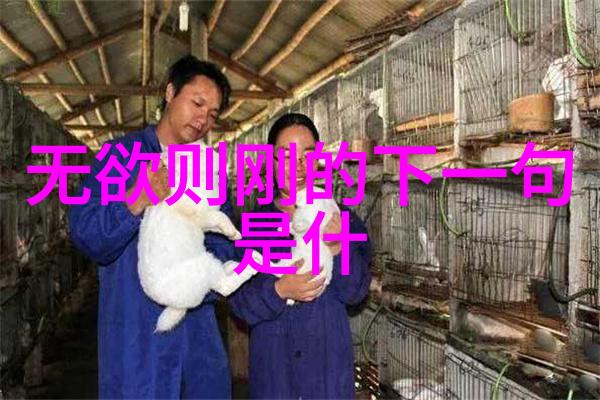 道家呼吸吐纳法之谜揭秘古老修炼的奥义与实践