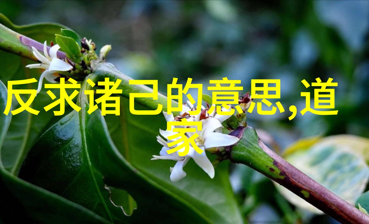 不争一场心灵的胜利