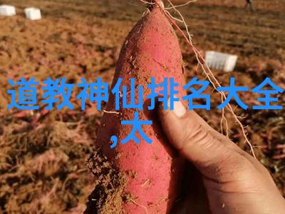 菩萨圣迹揭秘十大神灵的力量与智慧