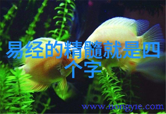 王阳明心学探究内省之路与道德修养