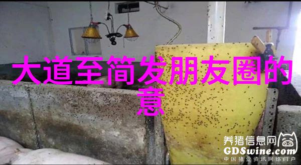 大道至简权力的自律与任性的危机