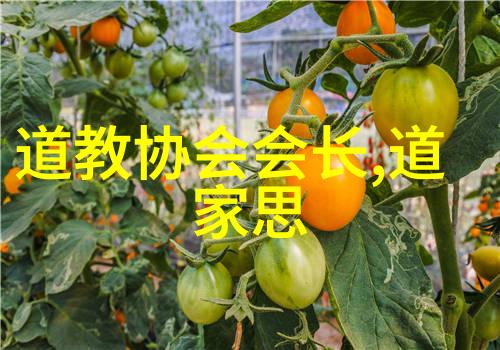 古今长存的道家高人隐世修炼与国之栋梁
