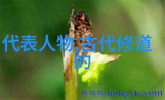悟道人生的经典句子我这辈子最大的收获就是学会了如何静下心来听这些话