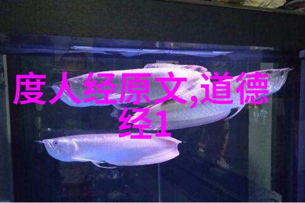 从山水田野中悟出人生真谛深度分析庄子中的成语故事