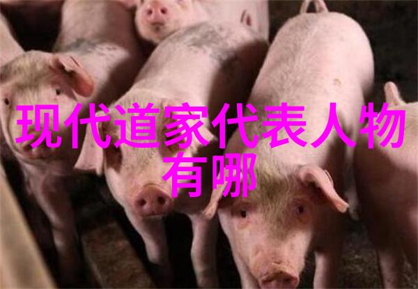 走进心灵园地探究历代学者对老子及其作品包括不同的完整版解读的心得体会