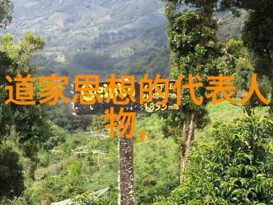 古诗词鉴赏50字-红楼梦中的词韵与意境探究