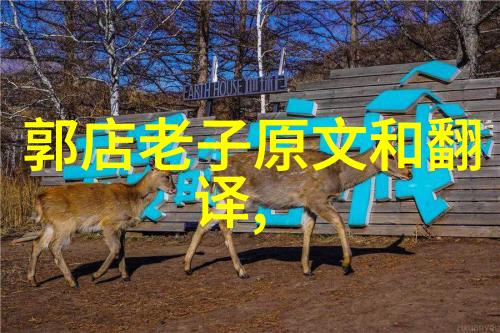 道法自然探索道家学说与道教哲学