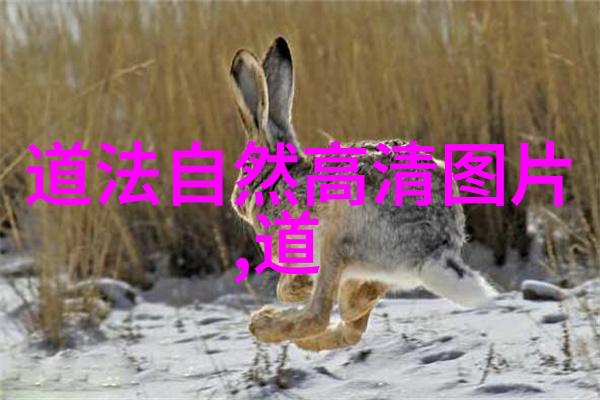 在古代中国哪些人群更容易被称为儒者
