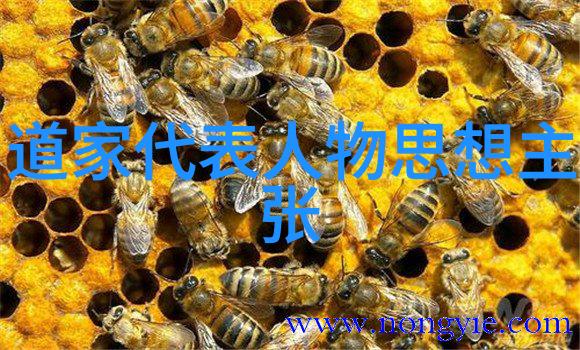 超能力觉醒-九字真言压力之下显威力