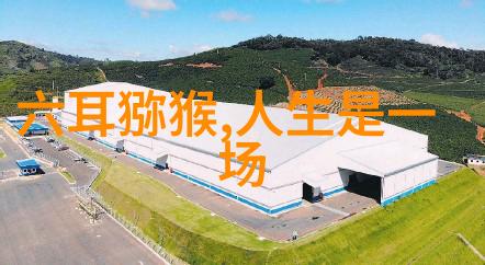 他们为何不愿意展露锋芒选择低调生活
