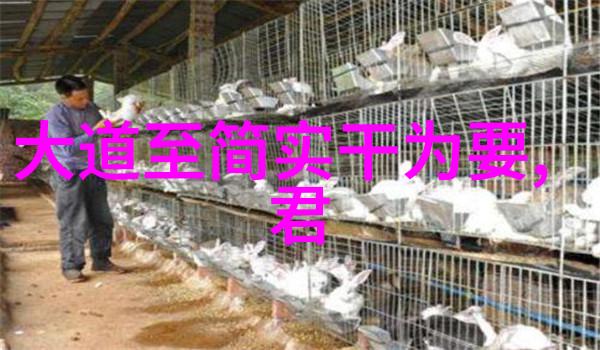 怎样成为一名道士我是如何一步步成长为一名合格道士的