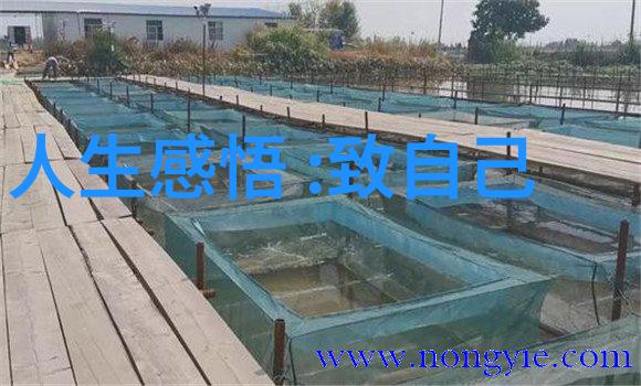 道教文化的光辉传承精彩语录展现古老智慧的现代魅力