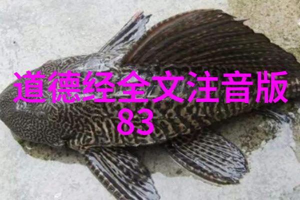 道教之谜从老子到黄帝谁是真正的创始人