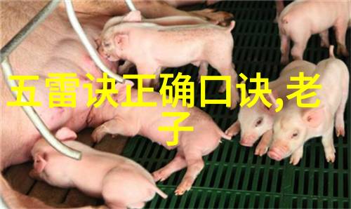 心无所住生其大智无为而行无不济世