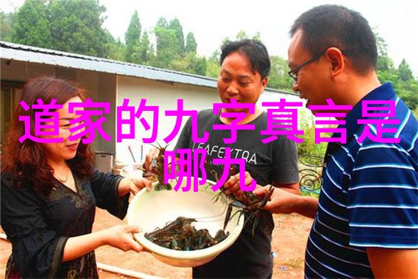 道家感悟人生我在山中找到了生命的真谛
