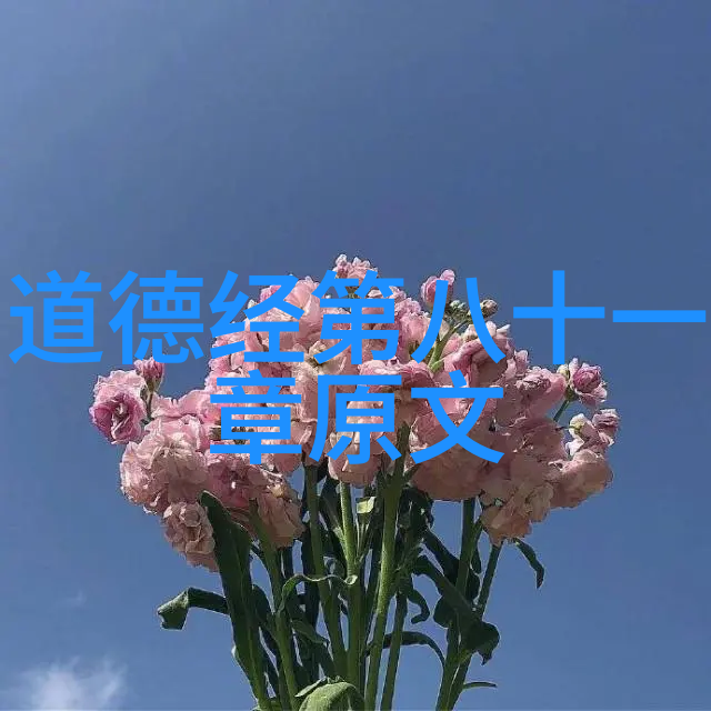 心灵的探索人与思想的深度交织