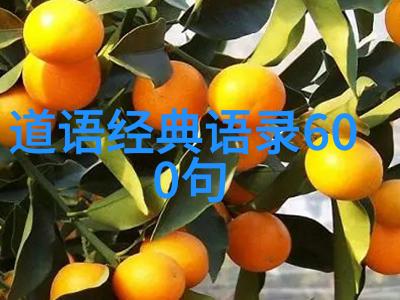道家的代表人物是老子和庄周中国哲学家与道家思想的代表