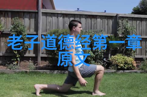 藏身茫茫人海隐匿于众星之中国家养的道家高人的无形力量