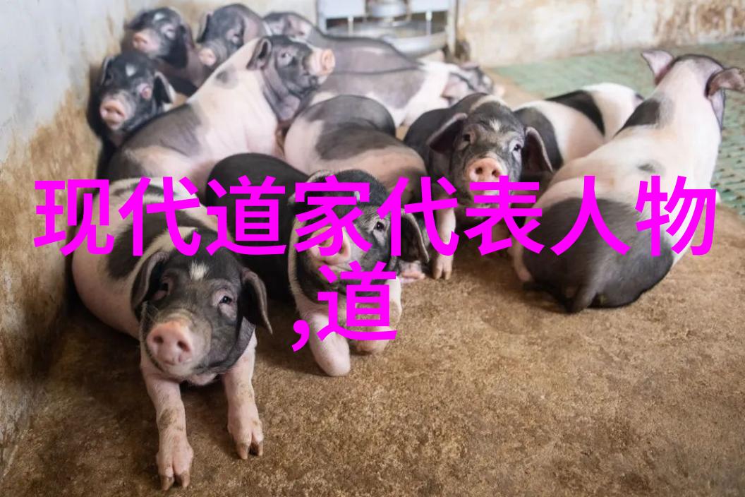 从黄帝到大禹探索中国古代的第一任玉帝