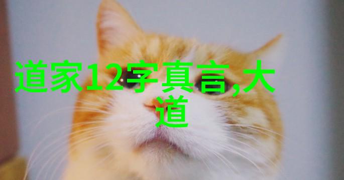 道家学派代表人物是老子张道陵张良周敦颐