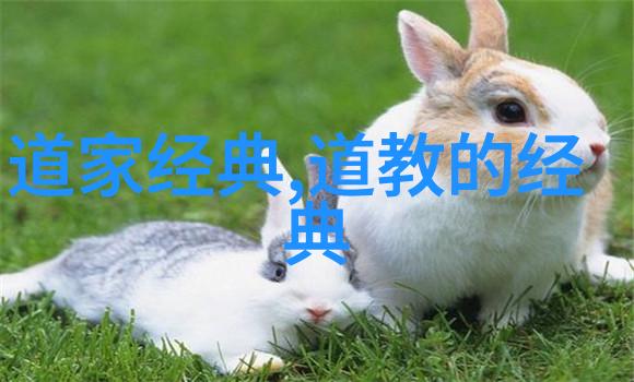 大道至简是不是我们追求的最终答案