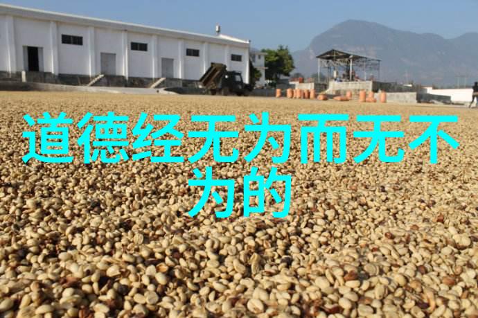 道家学派的智者探索古老智慧的源头