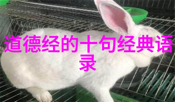 在当今社会道教高人能否真正实现长生不老